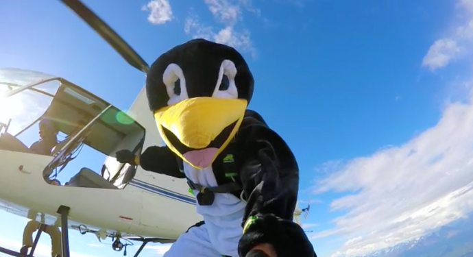 Nixon and Seal Take Penguin Home to Alaska -- Antics from Alaska Skydive Center